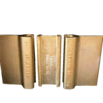 مفصل نیوجرسی